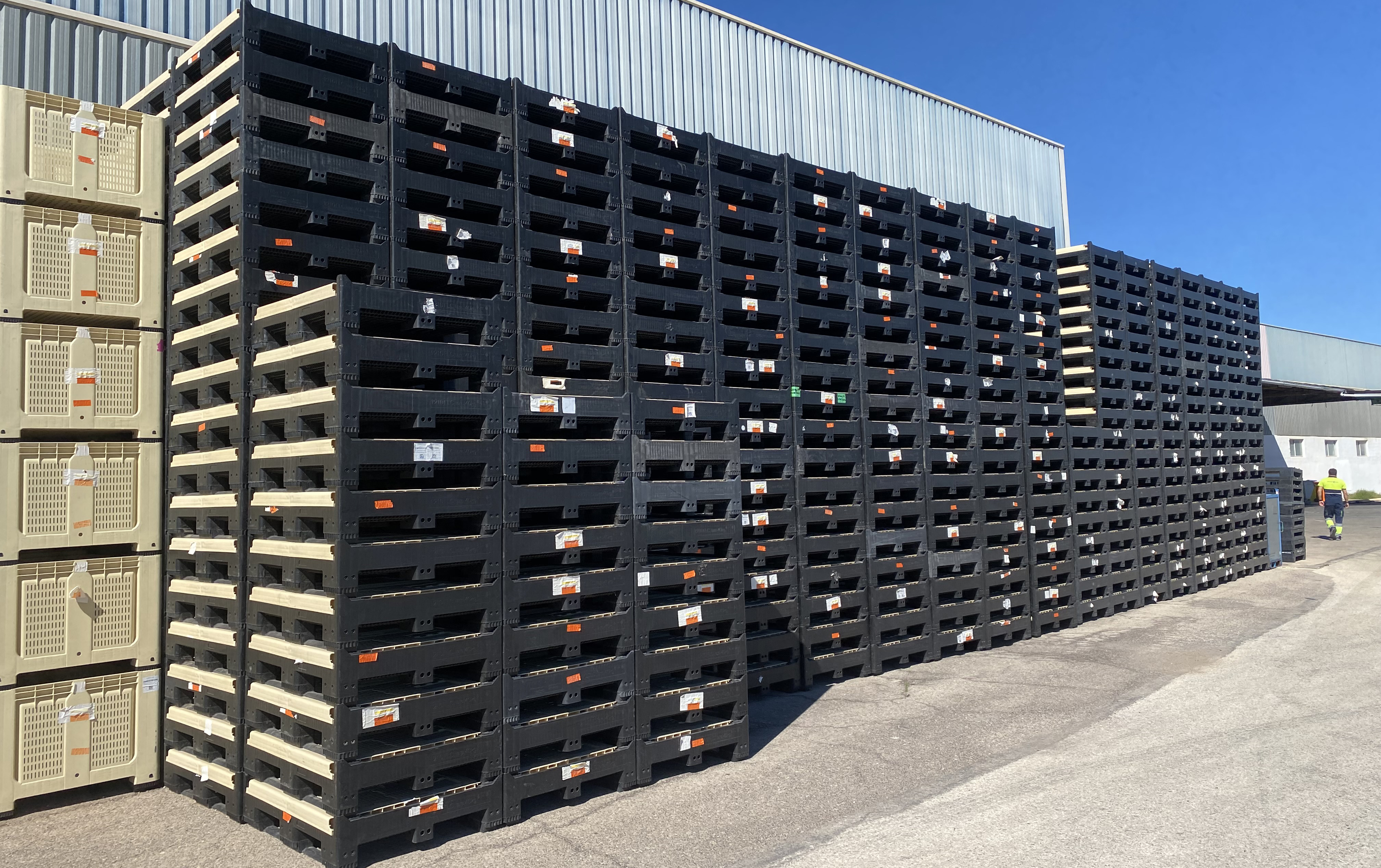 El Mercado de Envases Retornables Sigue en Auge: Proyecciones de Crecimiento Sostenido